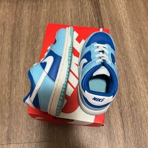 Toddler Nike Dunks